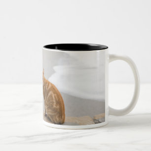 nerja malaga andalusia spain Two-Tone coffee mug