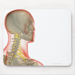 Nerves of the Neck 2 Mouse Mat