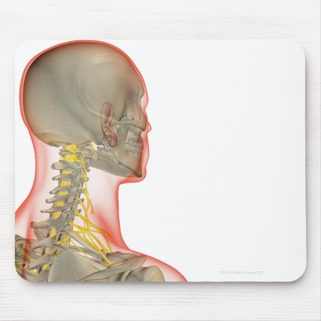 Nerves of the Neck 2 Mouse Mat (Front)