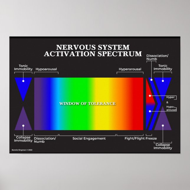 Nervous System Activation Spectrum Poster (Front)