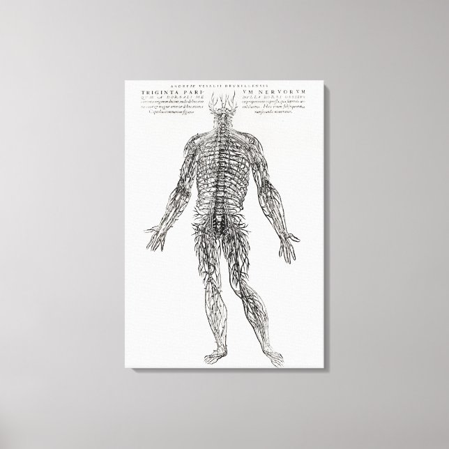 Nervous System (b/w print) Canvas Print (Front)