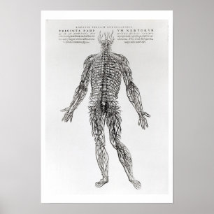 Nervous System (b/w print) Poster