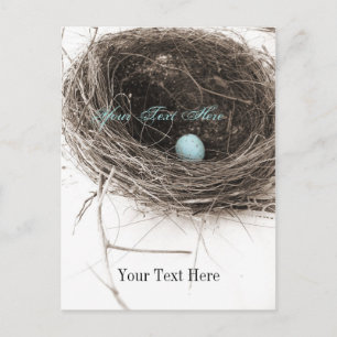 Nest and Egg Postcard