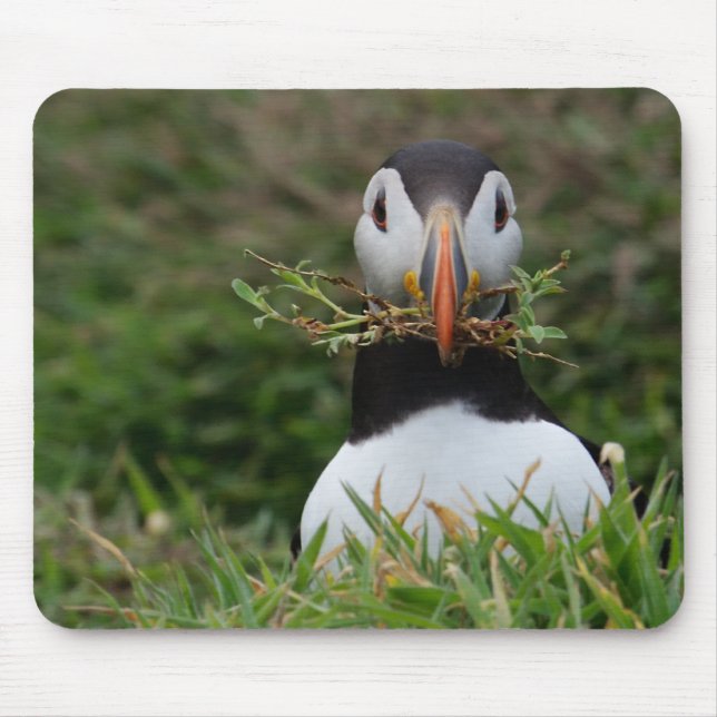 Nest Builder Puffin Mouse Mat (Front)