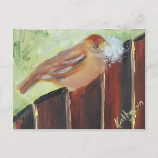 Nest Materials Postcard