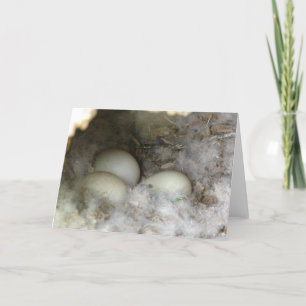 Nest of Duck Eggs Card