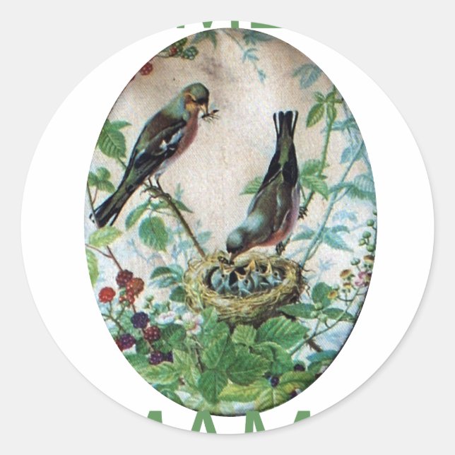 Nest of Joy: Family's Nourishing Young Spirit Love Classic Round Sticker (Front)