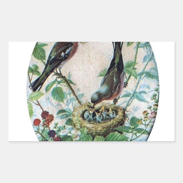 Nest of Joy: Family's Nourishing Young Spirit Love Rectangular Sticker (Front)