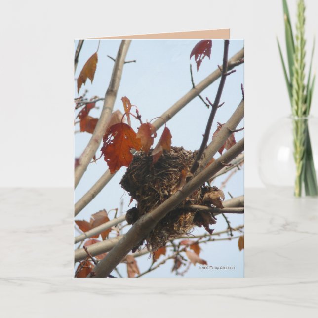Nest Revealed Card (Front)