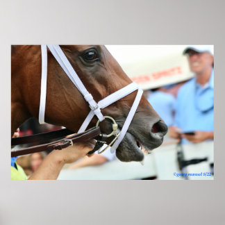 Nest - winning filly poster