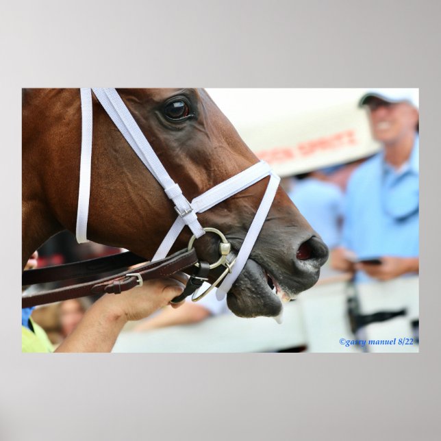 Nest - winning filly poster (Front)