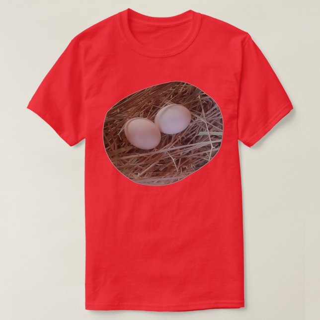 Nest With Eggs T-Shirt (Design Front)