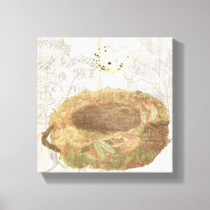 Nest with Speckled Egg Canvas Print