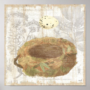 Nest with Speckled Egg Poster