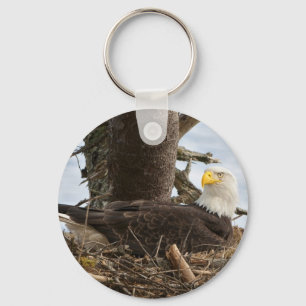 Nesting Bald Eagle Key Ring