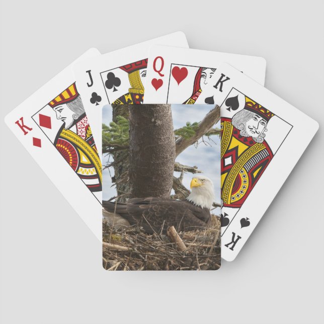 Nesting Bald Eagle Playing Cards (Back)