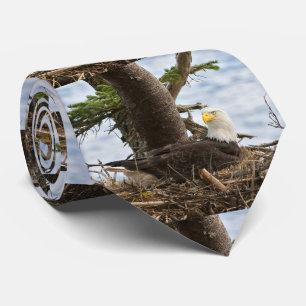 Nesting Bald Eagle Tie