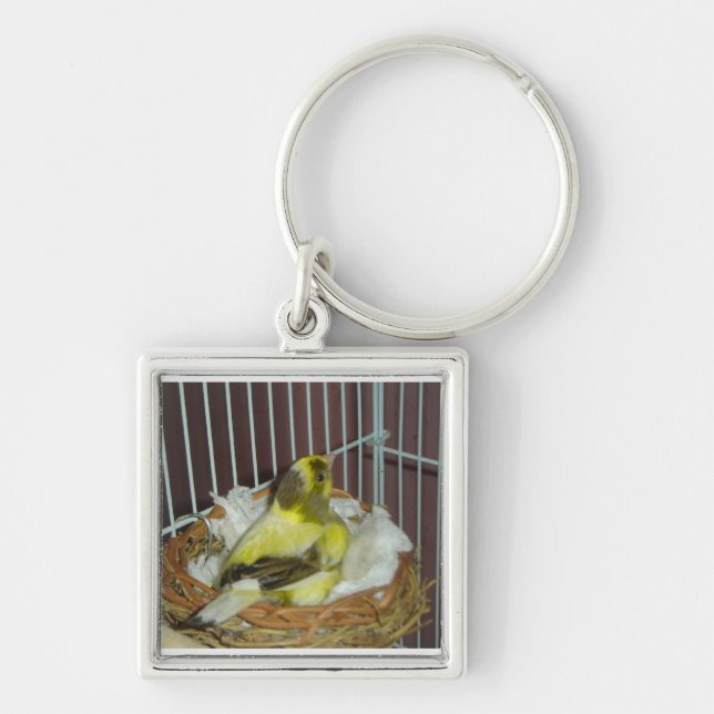 Nesting canary key ring (Front)