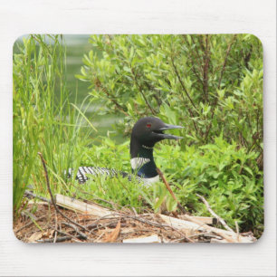 Nesting Loon mouse pad
