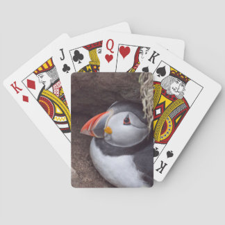 Nesting Puffin Playing Cards