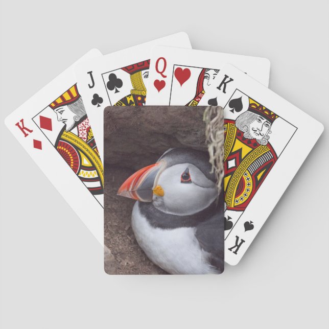 Nesting Puffin Playing Cards (Back)