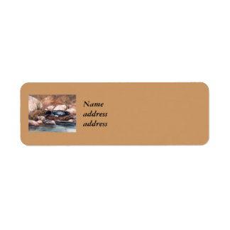 Nesting Time Loon Return Address Label