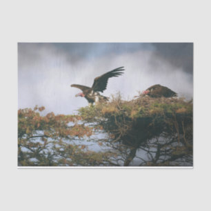 Nesting Vultures  Tissue Paper