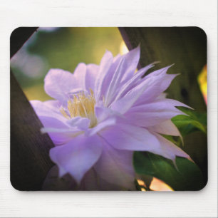 Nestled Clematis Flower Mouse Mat