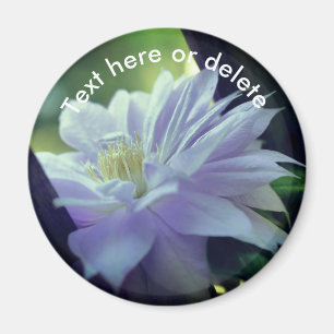 Nestled Clematis Flower Personalized Magnet