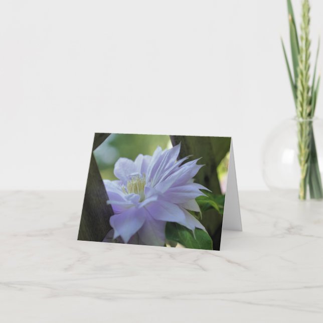 Nestled Clematis Flower Photography  Note Card (Front)