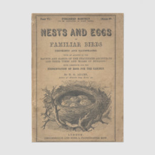 Nests and Eggs of Familiar Birds Tissue Paper
