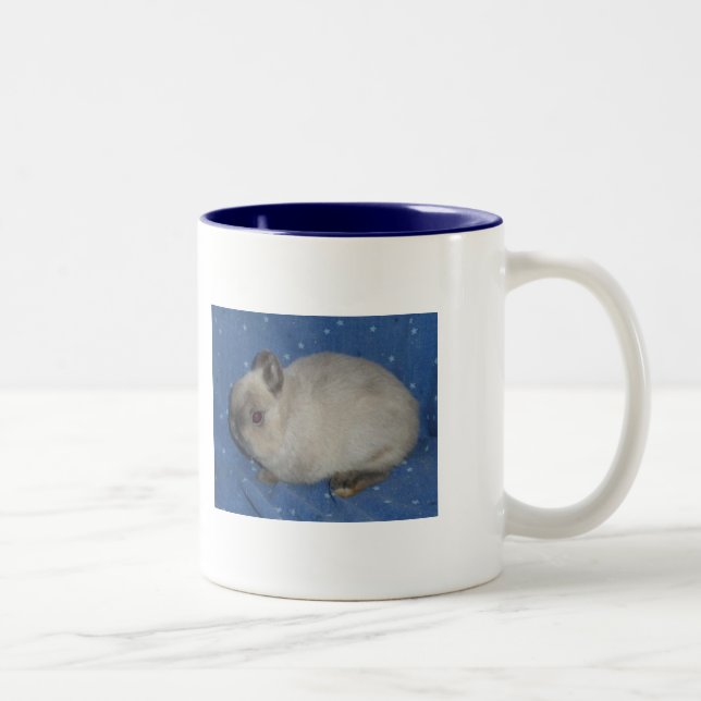 Netherland Dwarf Mug2 Two-Tone Coffee Mug (Right)