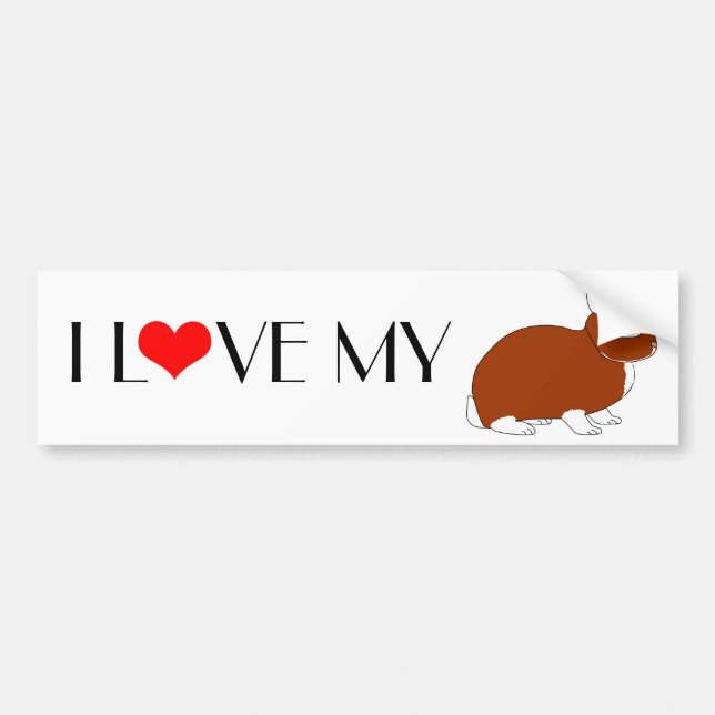 Netherland Dwarf Rabbit Bumper Sticker (Front)