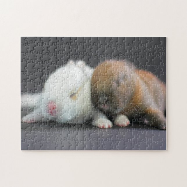 Netherland Dwarf Rabbits Jigsaw Puzzle (Horizontal)
