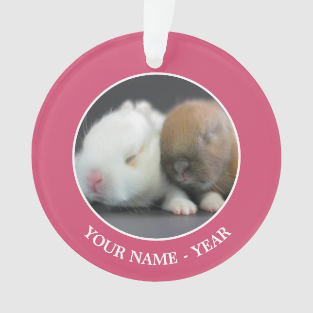 Netherland Dwarf Rabbits Ornament (Front)