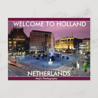 NETHERLAND oxes Postcard 