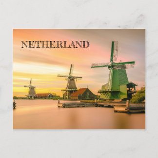 Netherland Windmills Postcard