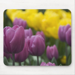 Netherlands aka Holland), Lisse. Keukenhof 10 Mouse Mat