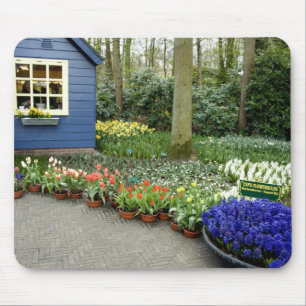 Netherlands aka Holland), Lisse. Keukenhof 11 Mouse Mat