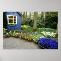 Netherlands aka Holland), Lisse. Keukenhof 11