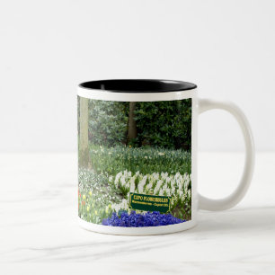 Netherlands aka Holland), Lisse. Keukenhof 11 Two-Tone Coffee Mug
