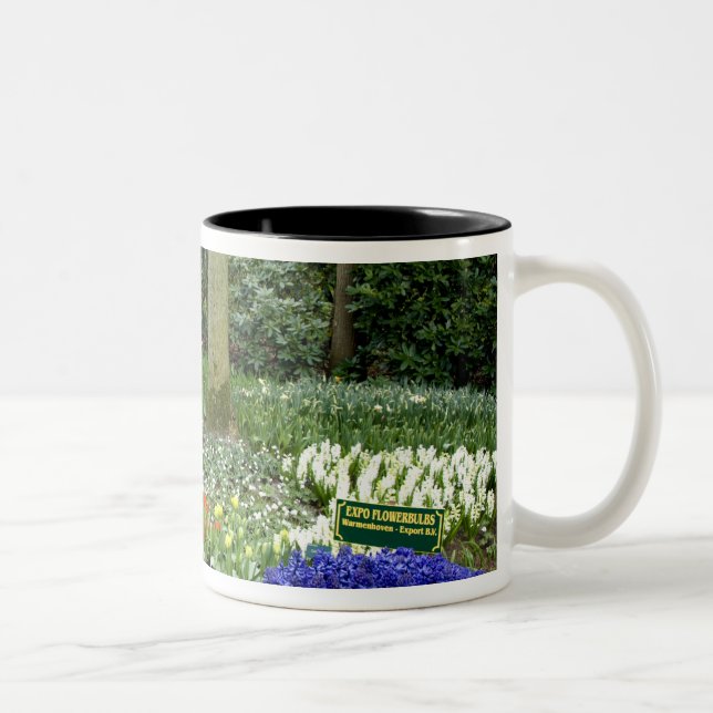 Netherlands aka Holland), Lisse. Keukenhof 11 Two-Tone Coffee Mug (Right)