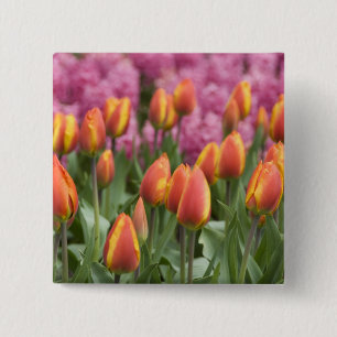 Netherlands (aka Holland), Lisse. Keukenhof 15 Cm Square Badge
