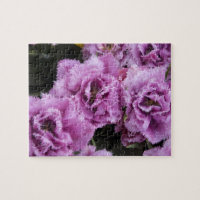 Netherlands (aka Holland), Lisse. Keukenhof 2