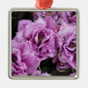 Netherlands (aka Holland), Lisse. Keukenhof 2 Metal Tree Decoration