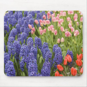 Netherlands aka Holland), Lisse. Keukenhof 2 Mouse Mat
