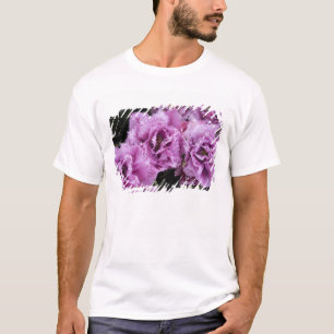 Netherlands (aka Holland), Lisse. Keukenhof 2 T-Shirt