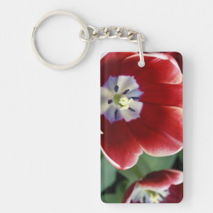 Netherlands (aka Holland), Lisse. Keukenhof 3 Key Ring