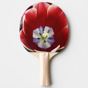 Netherlands (aka Holland), Lisse. Keukenhof 3 Ping Pong Paddle