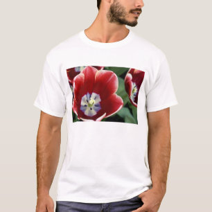 Netherlands (aka Holland), Lisse. Keukenhof 3 T-Shirt